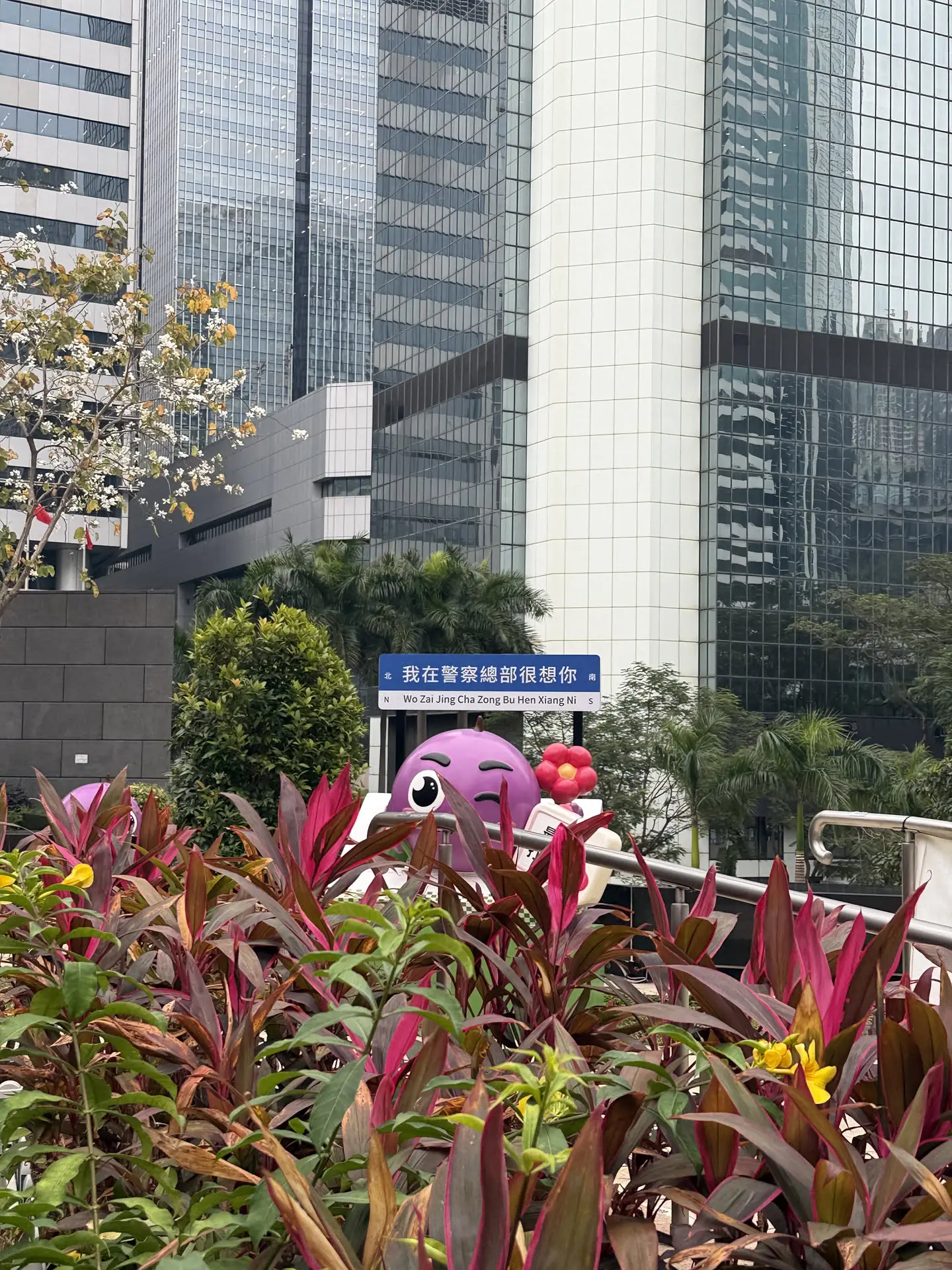 我在警察总部很想你