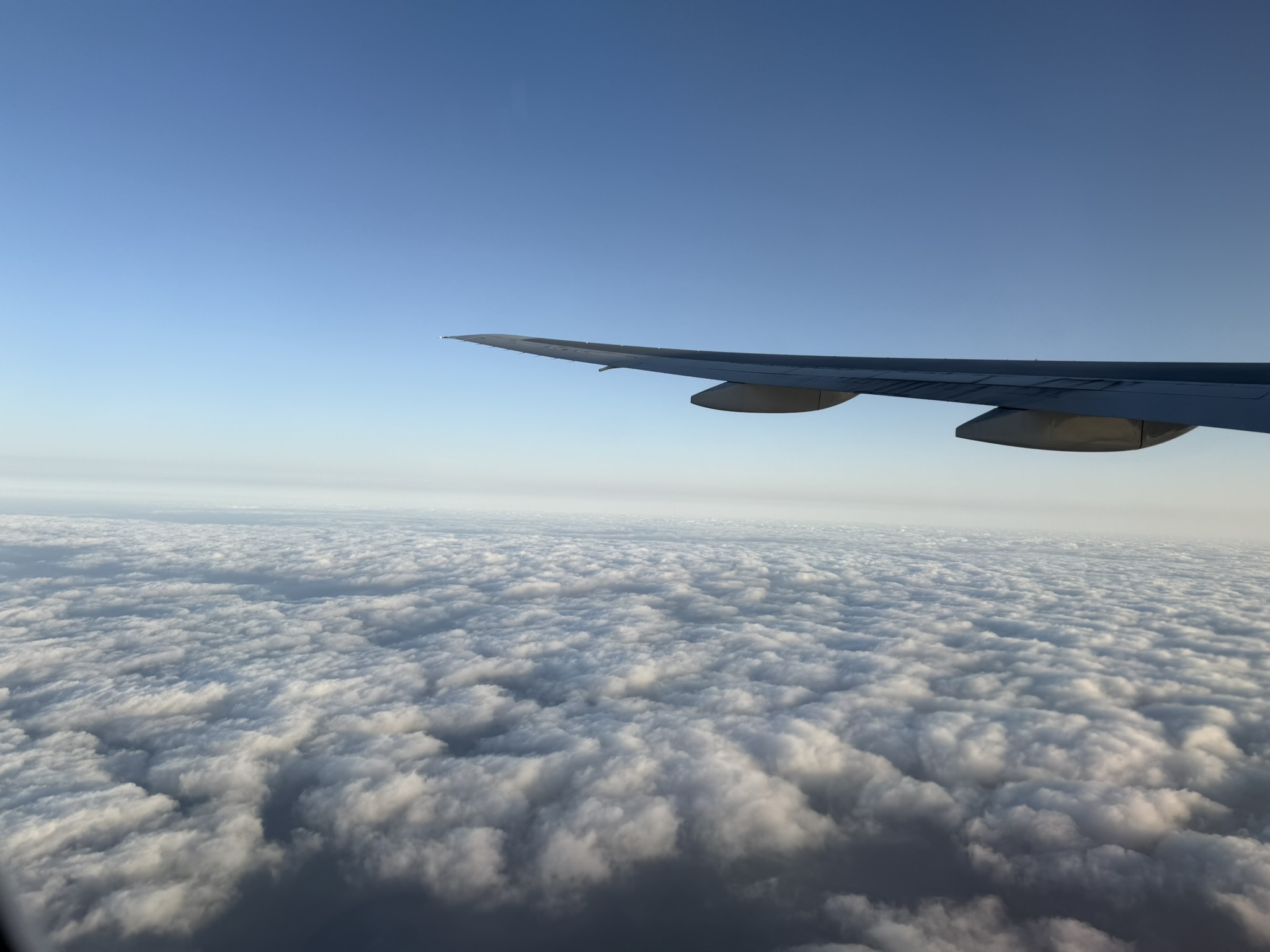 8E763490-ACE5-4DAF-9B47-70BF838DB381_1_102_o.jpeg